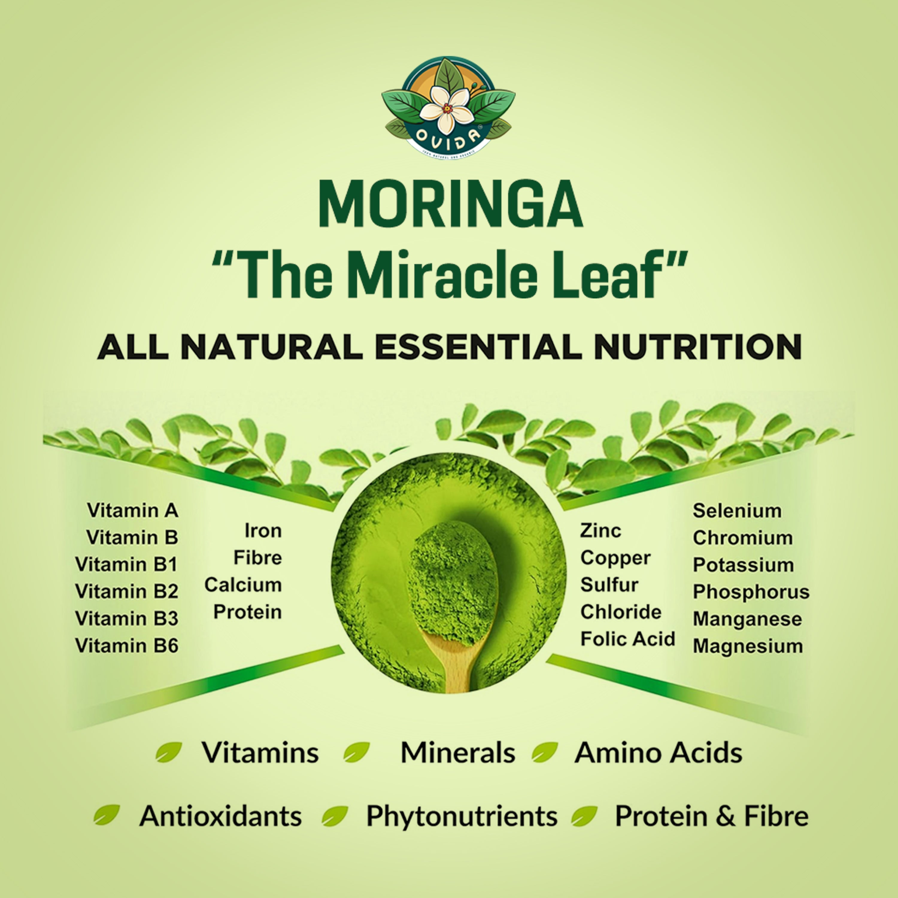 ORGANIC MORINGA LEAF POWDER 4 oz
