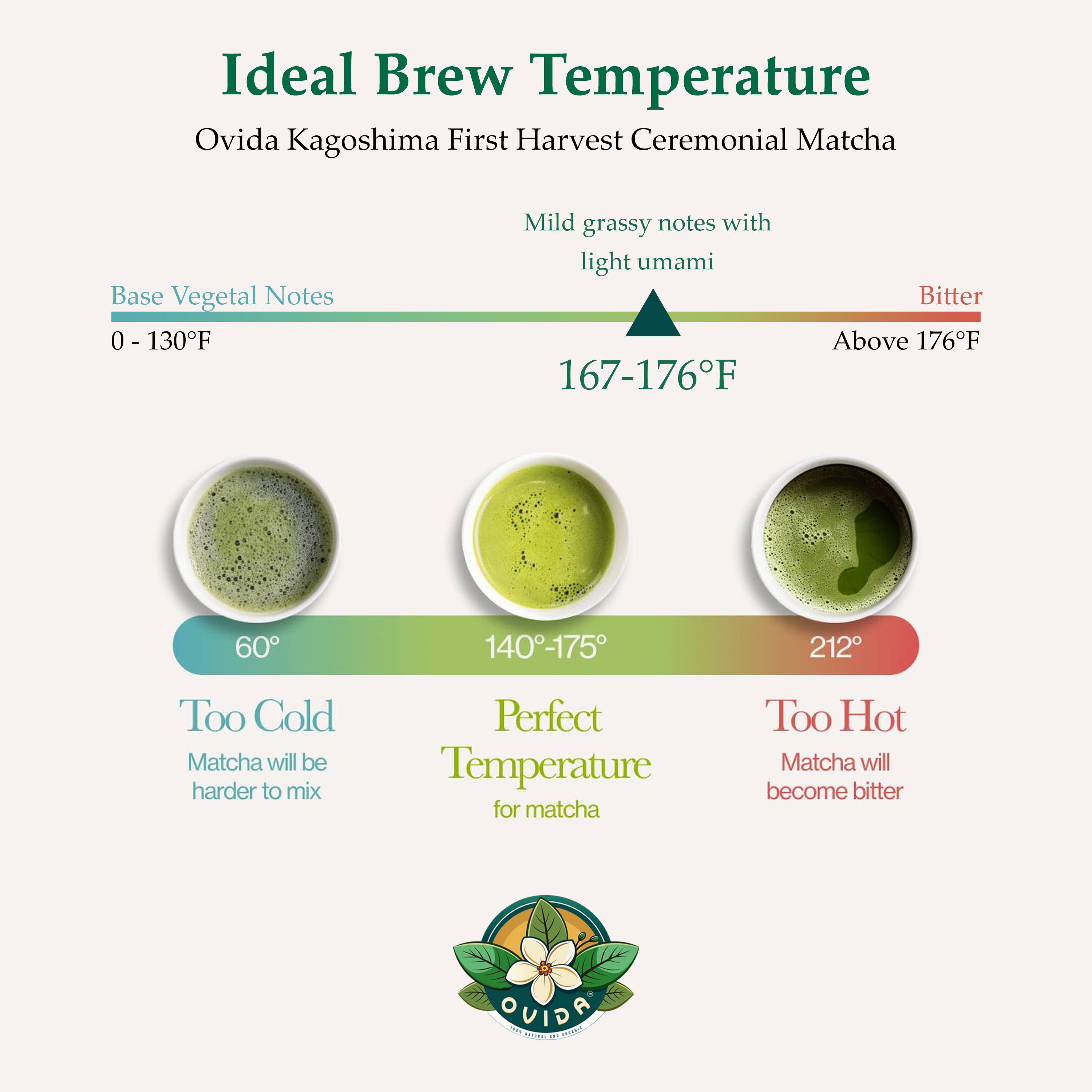 First Harvest Organic Ceremonial Matcha – Japanese Matcha from Kagoshima (127g / 4.5 oz)