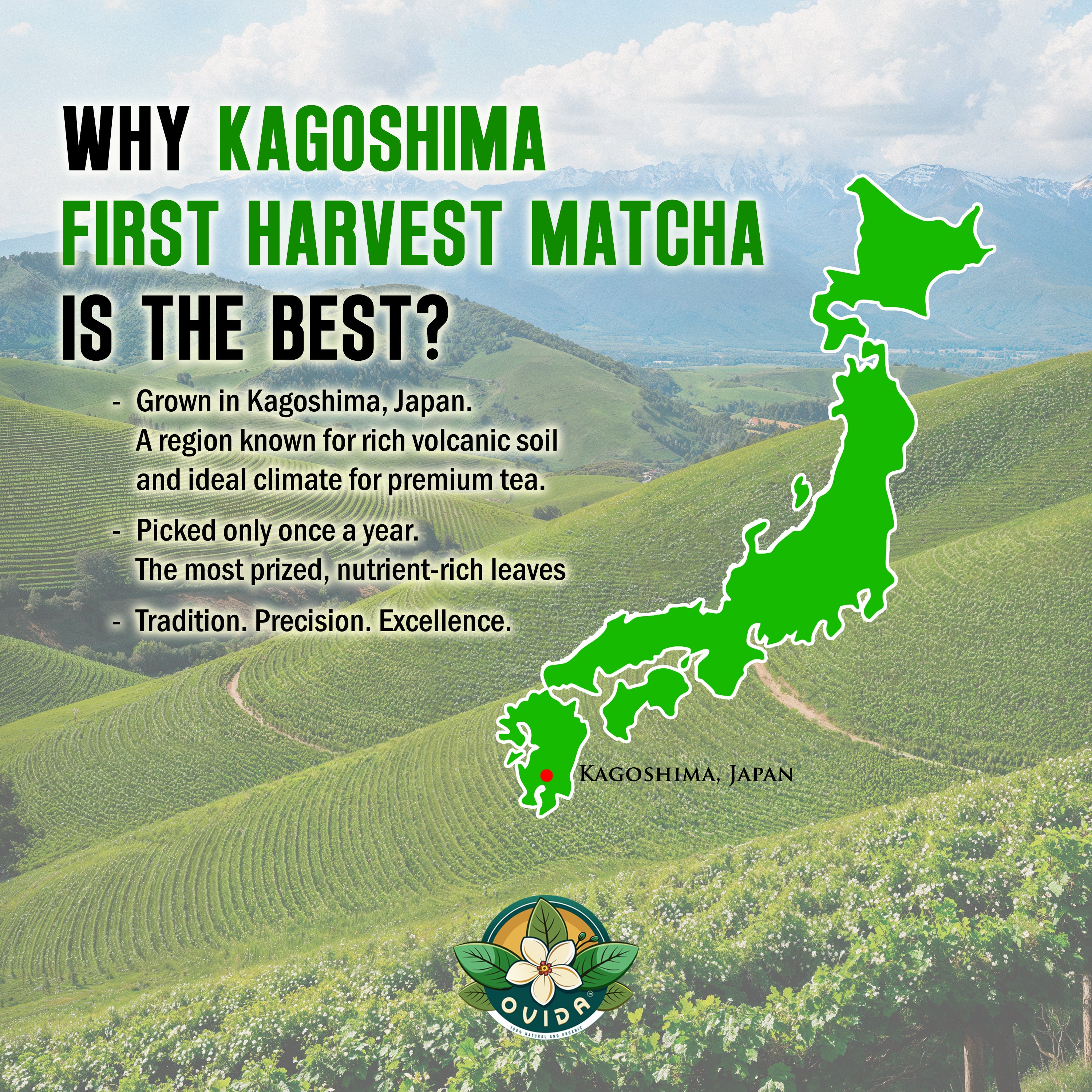 First Harvest Organic Ceremonial Matcha – Japanese Matcha from Kagoshima (127g / 4.5 oz)