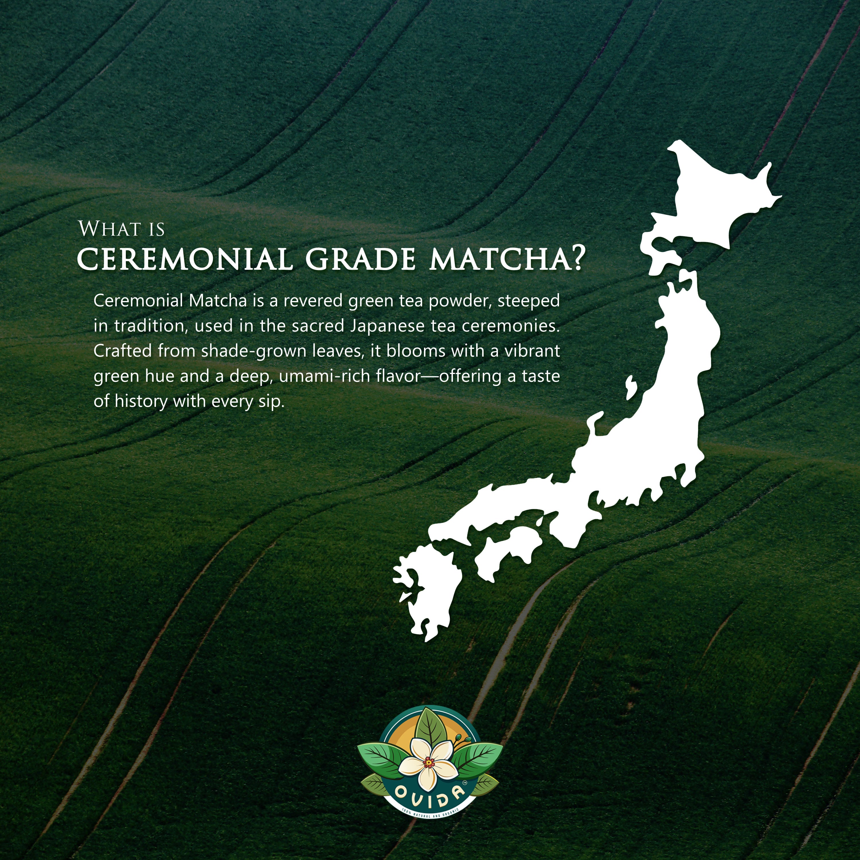 ORGANIC CEREMONIAL MATCHA